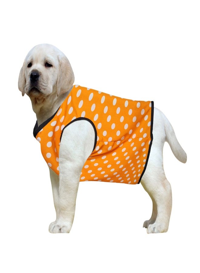Western Era Funky Soft Cotton Dog T-Shirt | Comfortable & Breathable Dog Clothing | Sleeveless Vest Puppy Outfit |(Polka Orange) (XLarge) (24inches) - Image 1